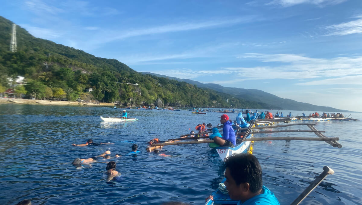 ジンベイザメツアー